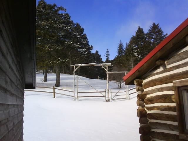 124 Gate Bwhind Cabins Jan 24th.JPG